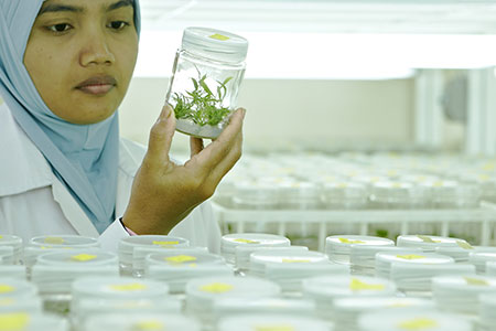 Penelitian dan Pengembangan