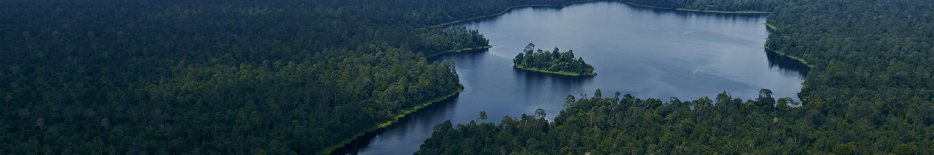 masthead sustainability